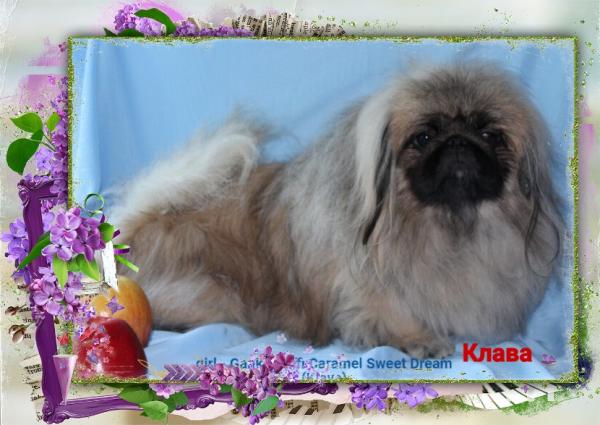 Прикрепленное изображение: CRRmwoGOSQRON9mz29-QAFpghyU44i1MSQVv8Uiah9FVIAdE-1o0eMpxWMDHhxYfT0UNtTNnJ7MlVqHwgsPYrTQa.jpg